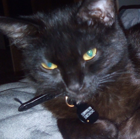 Meet your Posher, James - Picture 1 of 1